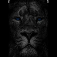 Darck