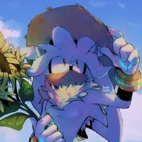 ◝⌣﹒★ˊ silver ! 🤍☁️ ˏˏ ﹒ও