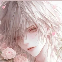 noa