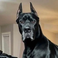 Golias