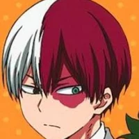 Shoto Todoroki [Doki]