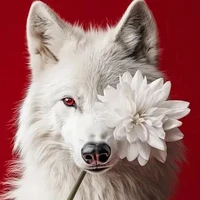 Sky (MC wolf)