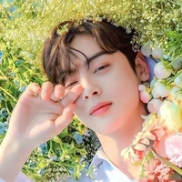 Jeon eunwoo [submissive omega]
