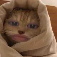 แอด😍🥰😘