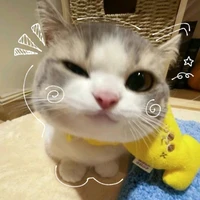 แอด