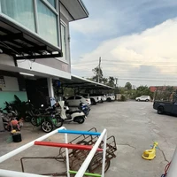 หม่อน