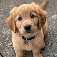 Milo