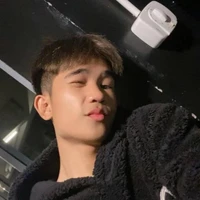 ชิน