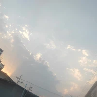 เมย์