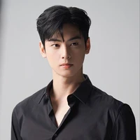 Cha Eunwoo