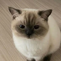 ฟ่าน