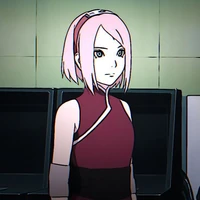 sᥲkᥙrᥲ 🌸