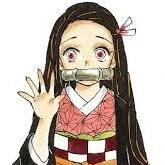 nezuko(normal)