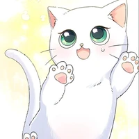whitey