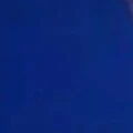 Everyone