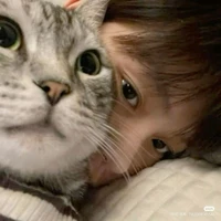 มิ้น