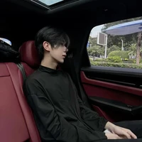 พยัคฆ์