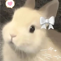 เเอดเอง🤩🤩