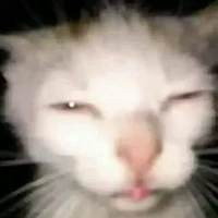 แอดเอง