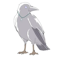 Shiroi (Gagak Kasugai Kazuya)