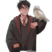 Harry Potter ☆H.P☆