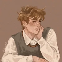 Remus Lupin◇R.L◇