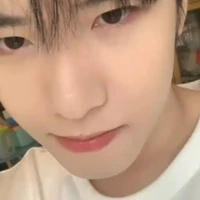 หยาง