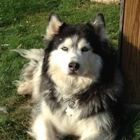 Kiko
