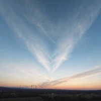Author Sky. (Lazy bird)
