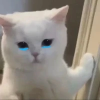 แอดแอ่ดแอ้ดแอ๊ดแอ๋ด