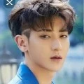 zitao albert
