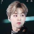 xiumin albert
