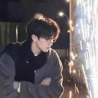 ฟานเฉิน