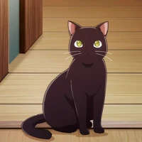 KaYna (gatinha da família)