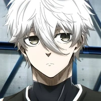 nagi seishiro