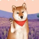 ตปก.