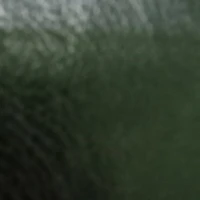 ？？？ตปก