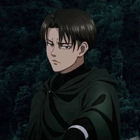 Levi Ackerman