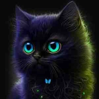 โมจิ🐈‍⬛ (อเลสซานโดร)