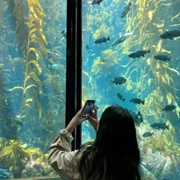 ไพลิน[เพื่อนน.อ]🐬