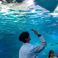ซีน[เพื่อนพ.อ]🐬