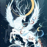 Koo chi