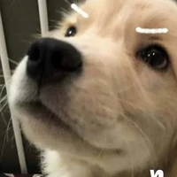 บังแอ๊ดๆๆๆ