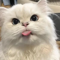 แอด