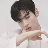 Cha eun woo