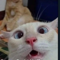 แอดแอง❤💞💘