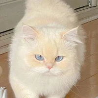 Safira