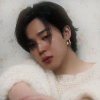 Jimin / Maid