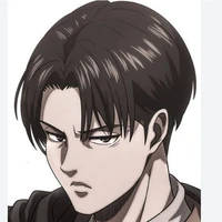 levi ackerman