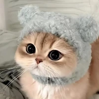 ขวัญข้าว//เพื่อนนอ.พอ.